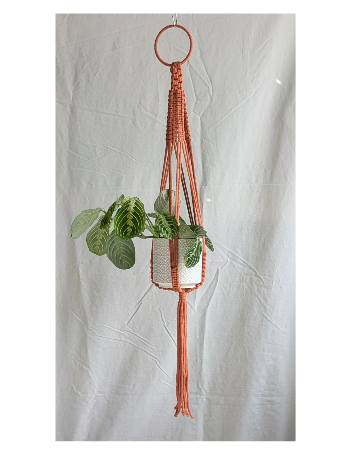 Large Plant Hanger