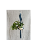 Medium Plant Hanger