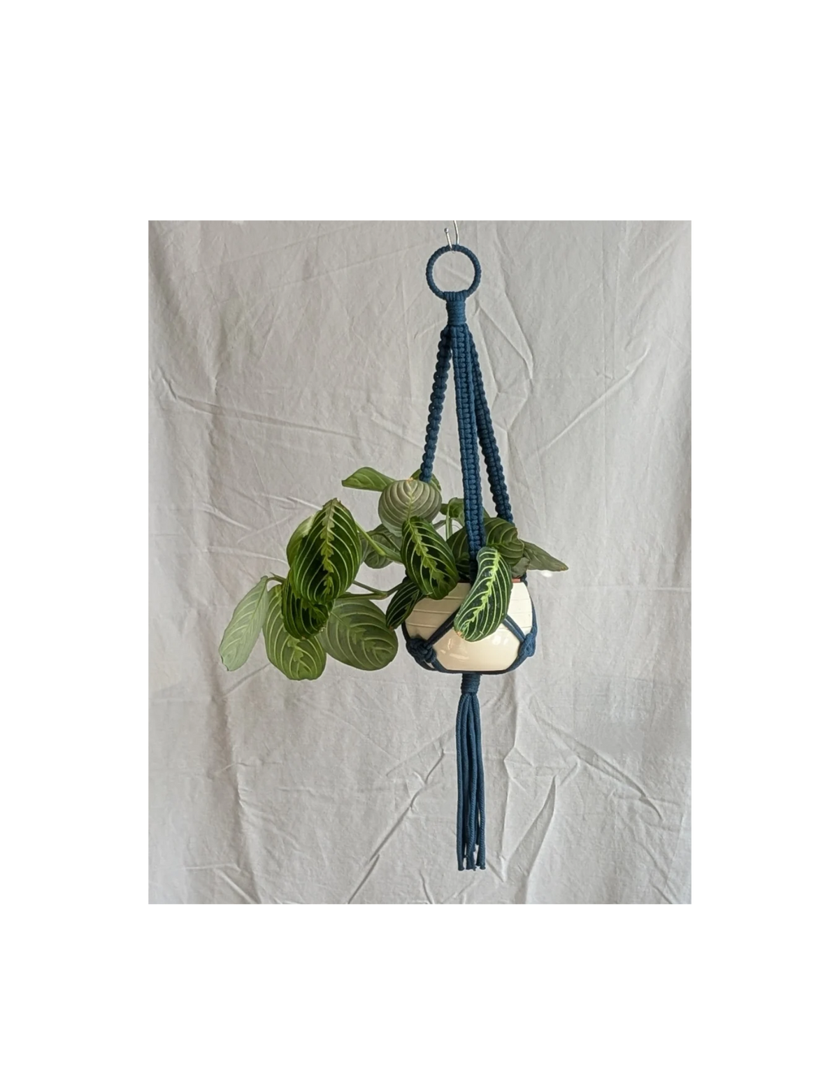Medium Plant Hanger