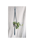 Small Plant Hanger