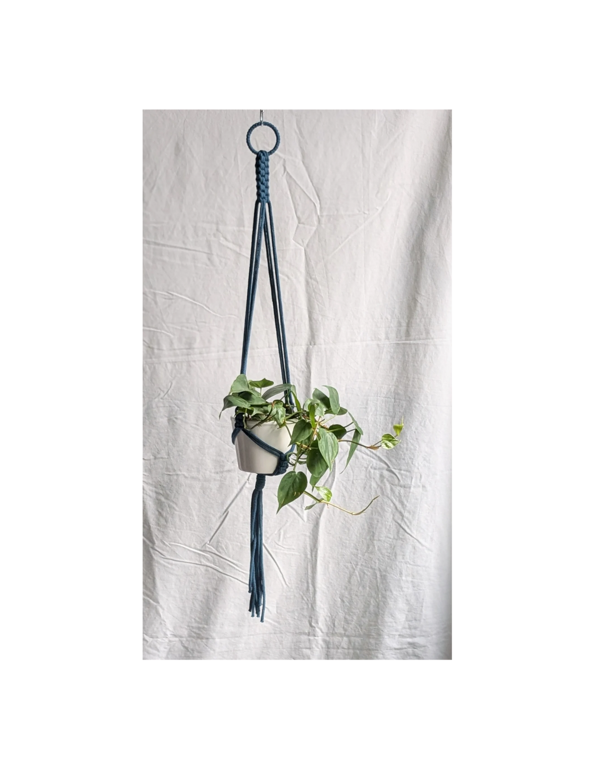 Small Plant Hanger