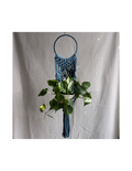 Wall Planter